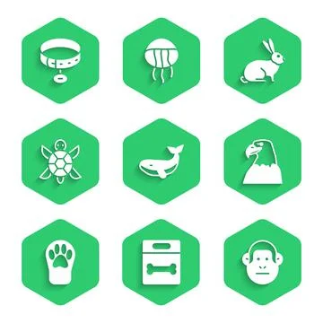 Set Whale, Dog bone, Monkey, Eagle head, Paw print, Turtle, Rabbit and Collar Stock Illustration