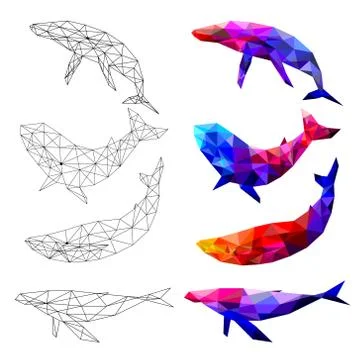 Set of Whale polygon geometric. Vector illustration. Stock Illustration