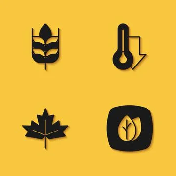 Set Wheat, Leaf, Canadian maple leaf and Thermometer icon with long shadow イラスト素材