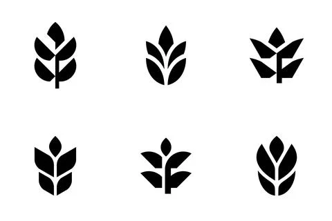 Set of Wheat logo Stock Illustration