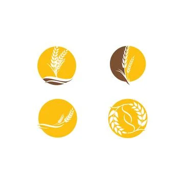Set Wheat Logo Template vector Stock Illustration