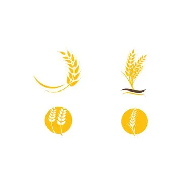 Set Wheat Logo Template vector 库存插图