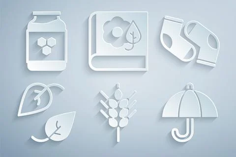Set Wheat, Socks, Leaf, Umbrella, Herbarium and Jar of honey icon. Vector Illustrazione stock