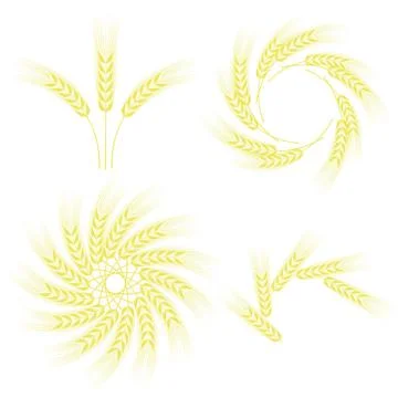 Set of Wheats Frames Set of Wheats Frames Isolated on White Background Cop... 스톡 사진
