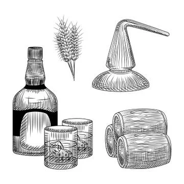 Set of whiskey production process in hand drawn style. Bottle of whiskey, gla Illustrazione stock