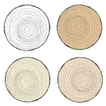 Set of white and brown tree rings, cut tree trunks. Vector illustration. イラスト素材
