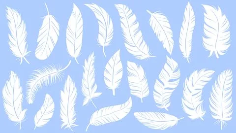 Set white bird feathers on blue background 스톡 일러스트
