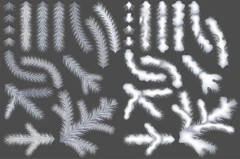 Set of White Coniferous Branches Stock Illustration