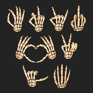 Set of white human skeleton bone hand collection with various gesture finge.. Stock Illustration