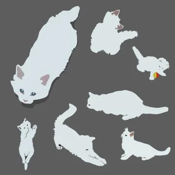 Set with white kittens. cute cats on grey Stock Illustration
