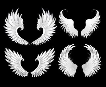 Set of white wings Stock Illustration