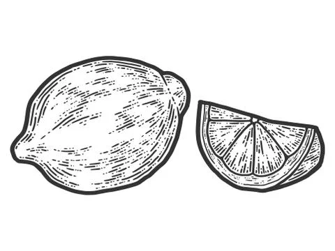 Set of whole lemon and slice. Sketch scratch board imitation. Black and white. Stock Illustration