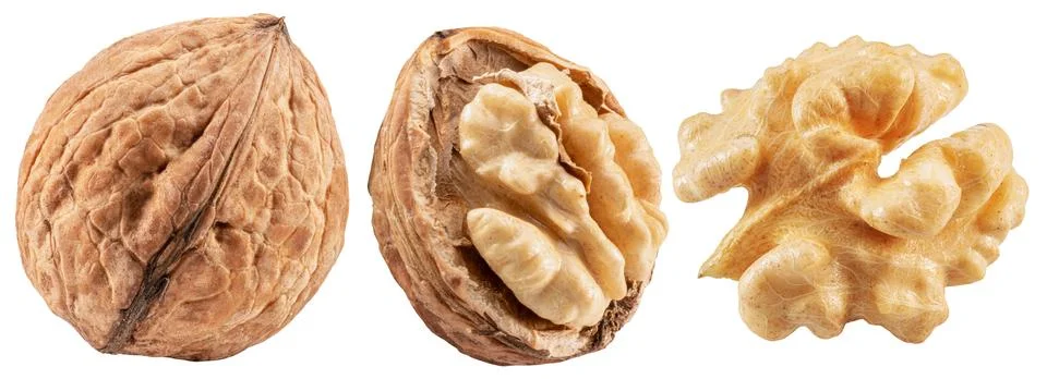 Set of whole walnuts, walnut kernel and cracked walnut on white background... Stock Photos