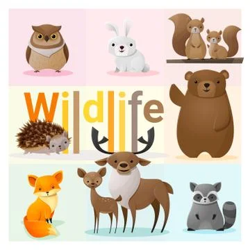 Set of Wild animals Stock Illustration