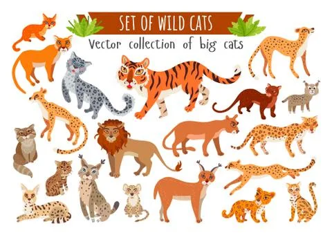 Set of wild cats. Vector cartoon exotic animals Stock Illustration