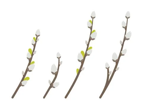 A set of willow branches happy Easter with patterns. Vector illustration in a Stock Illustration