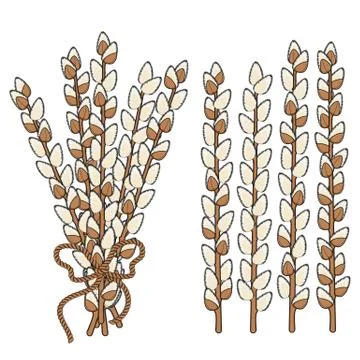 Set of willow branches. Isolated vector objects. Stock Illustration
