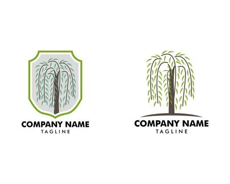 Set of Willow Tree Symbol Logo Vector Stock Illustration