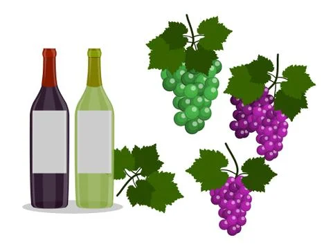 Set of Wine bottles and grapes isolated in the white background. Flat Design  Stock Illustration