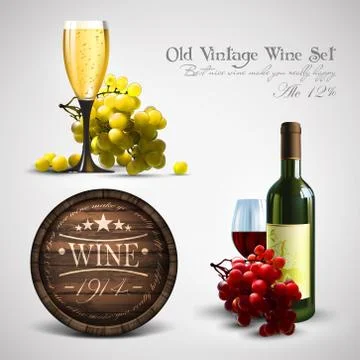 Set of wine elements Illustrazione stock