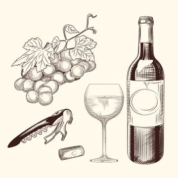 Set of wine. Hand drawn of wine glass, bottle, wine cork, corkscrew and grape Stock Illustration