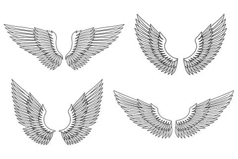 Set of wings Illustrazione stock