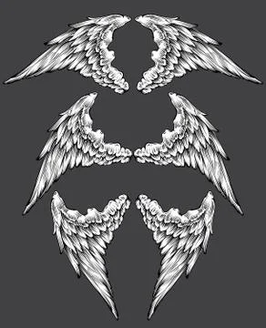 Set of wings Stock Illustration