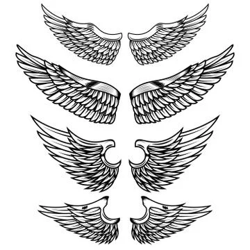 Set of the wings isolated on white background. Design elements f Illustration