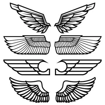 Set of the wings isolated on white background. Design elements f Stock Illustration