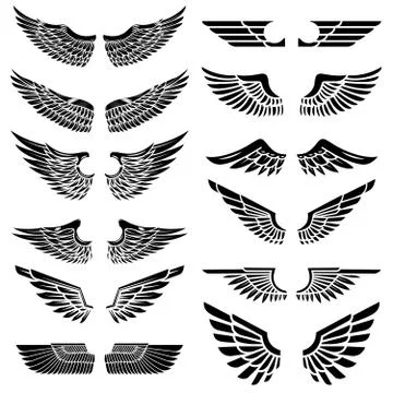 Set of the wings isolated on white background. Design elements f Stock Illustration