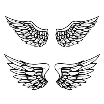 Set of wings isolated on white background. Design element for logo, label, em Illustrazione stock
