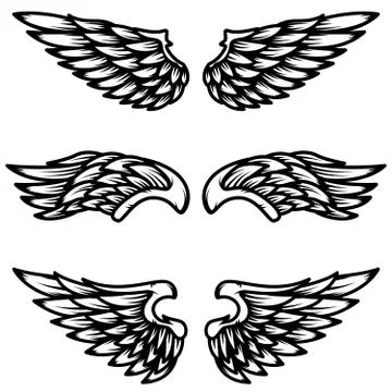 Set of wings isolated on white background. Design element for logo, label, em Stock Illustration