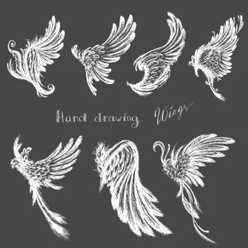 Set Wings, vector Stock Illustration