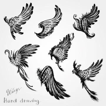 Set Wings, vector Stock Illustration