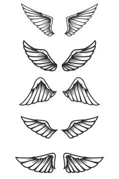 Set of wings on white background. Design elements for logo, label, emblem, si イラスト素材
