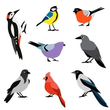 Set of winter birds. Flat design vector birds icon set. Stock Illustration