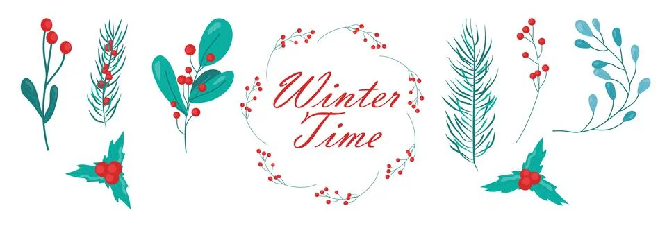 Set of winter elements spruce branches, red berries, eucalyptus. Botanical 스톡 일러스트