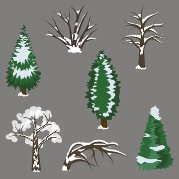 Set of winter trees in snow. isolated elements to design landscape scene Stock Illustration