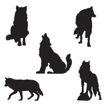 Set Of Wolf Silhouettes 스톡 일러스트