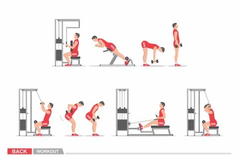 Set of workout for back Stock Illustration