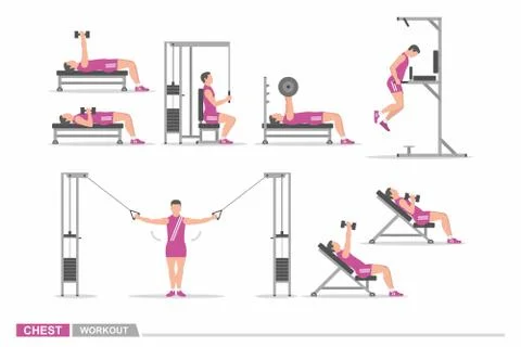 Set of workout for chest Stock Illustration