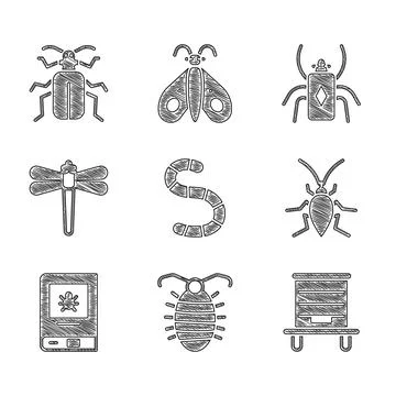 Set Worm, Larva insect, Hive for bees, Cockroach, Book about, Dragonfly, Beetle Stock Illustration