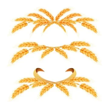 Set Wreath border from spikelets, golden color wheat horizontal frame in cartoon Stock Illustration