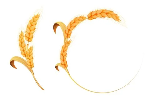 Set Wreath from spikelet, frame, border golden color wheat circle in cartoon Stock Illustration