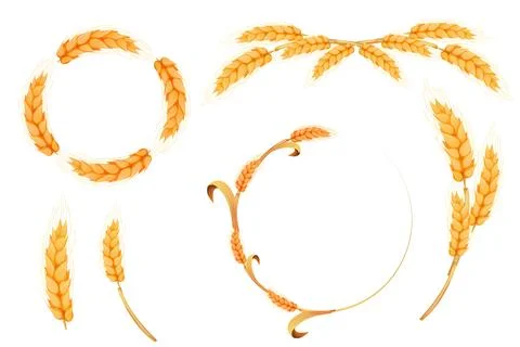 Set Wreath from spikelet, frame, border golden color wheat circle in cartoon Illustrazione stock