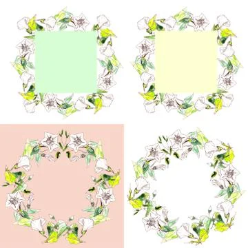 Set of wreaths and frames of white tender bindweed イラスト素材