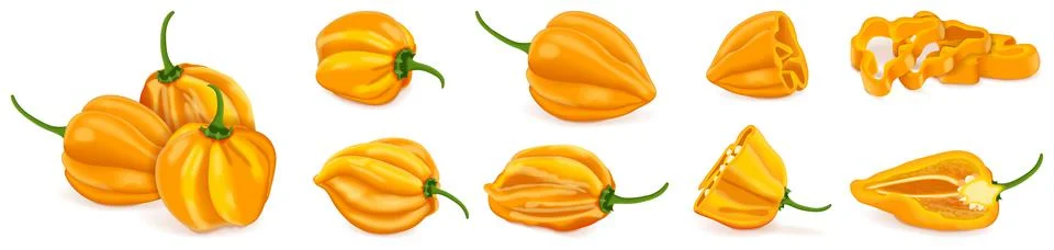 Set yellow habanero chili peppers. Stock Illustration