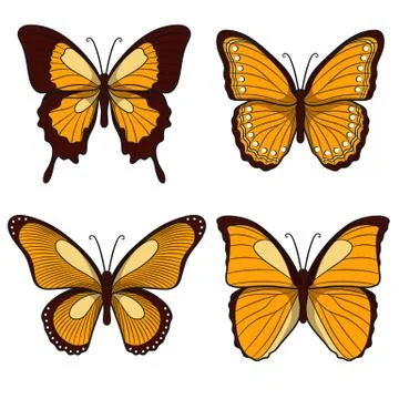 Set of yellow vector butterflies. Isolated objects on a white. Stock Illustration