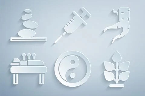 Set Yin Yang, Ginger root, Acupuncture therapy, Plant, Syringe and Stack ho.. 스톡 일러스트