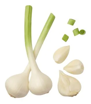Set of young garlic and pieces close-up on a white background. Isolated Stock Photos